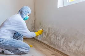 Mold Remediation for Vacation Homes in Greenville, AL