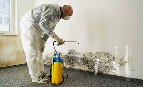 Mold Removal for HVAC Installations in Greenville, AL