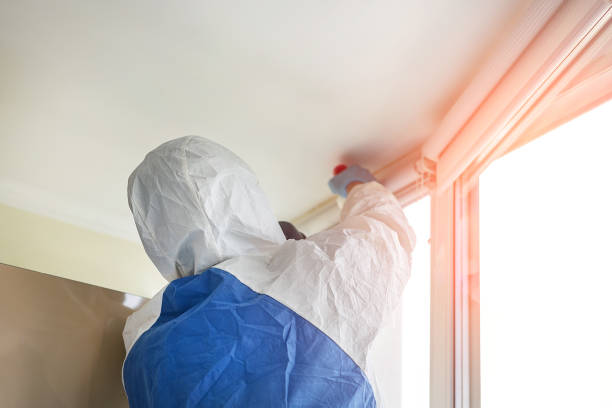 Professional Mold Inspection in Greenville, AL